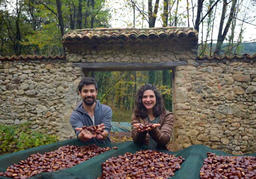 Gîte Espluma - actualité Châtaignes 2024